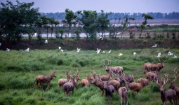 江苏第一大城市，相当于3个南京，2个苏州，旅行元素超全，如今却无人问津
